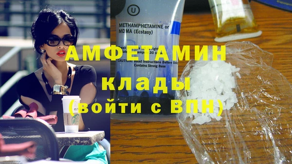 стаф Алзамай
