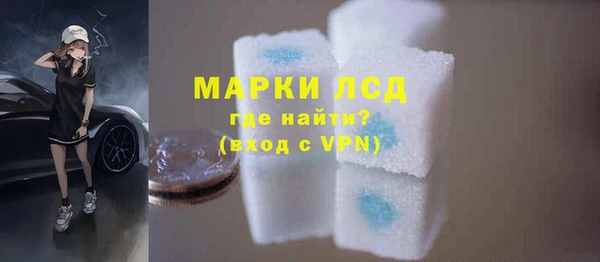 стаф Алзамай