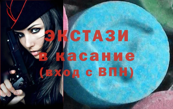 стаф Алзамай