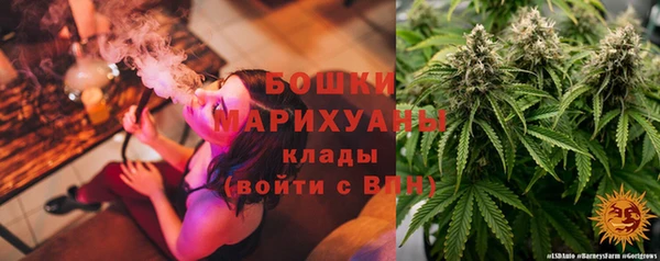 спайс Алексин