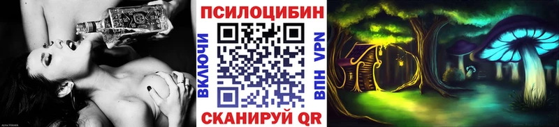 Галлюциногенные грибы мицелий  Купить где  Новотитаровская 
