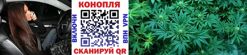 Купить  Новотитаровская  Конопля Bruce Banner 